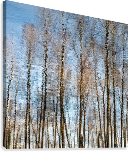 FS170402S Canvas Print