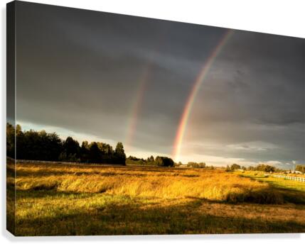 FS160617C Canvas Print