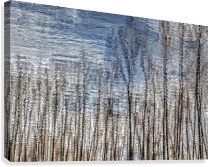 FS160329MM Canvas Print