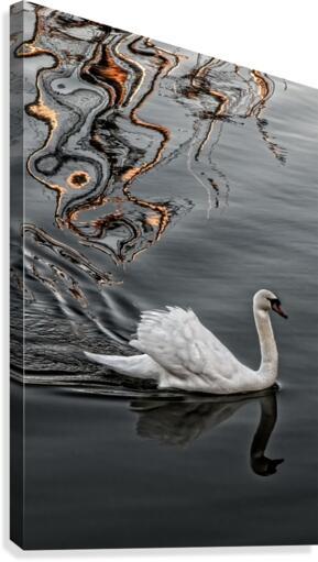 FS160222 Canvas Print