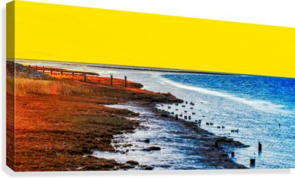 FS190301DW Canvas Print