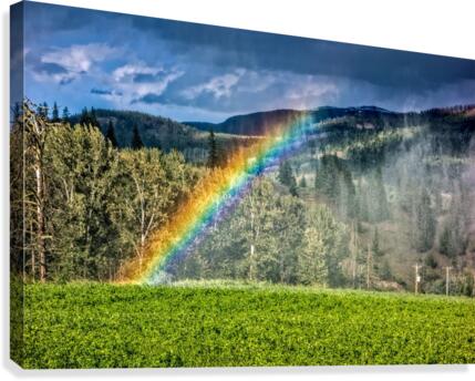 FS180626E Canvas Print