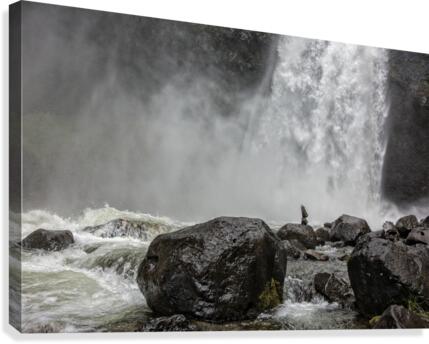 FS180626P Canvas Print