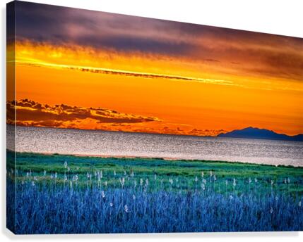 FS200519A Canvas Print