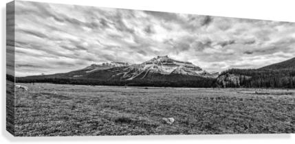 FS121007 BW Canvas Print