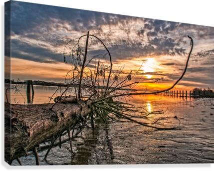 FS150326EE Canvas Print