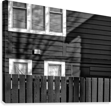 FS070128BW Canvas Print