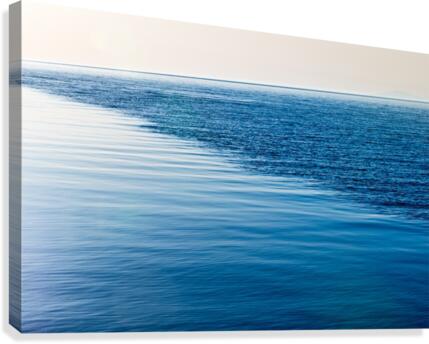 FS160420E Canvas Print