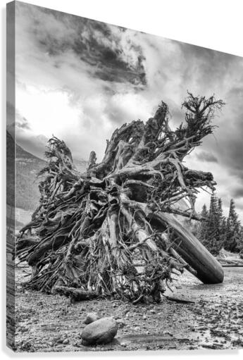 FS 130680 Canvas Print