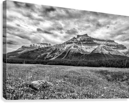 FS121007HH Canvas Print