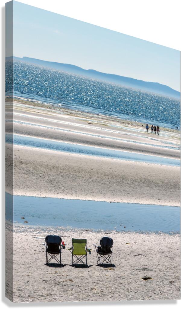 FS160510P2 Canvas Print