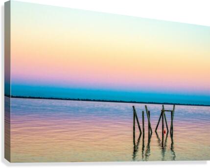 FS170730AA Canvas Print
