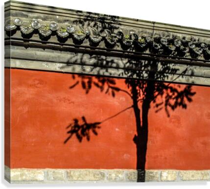 FS 111113 Canvas Print