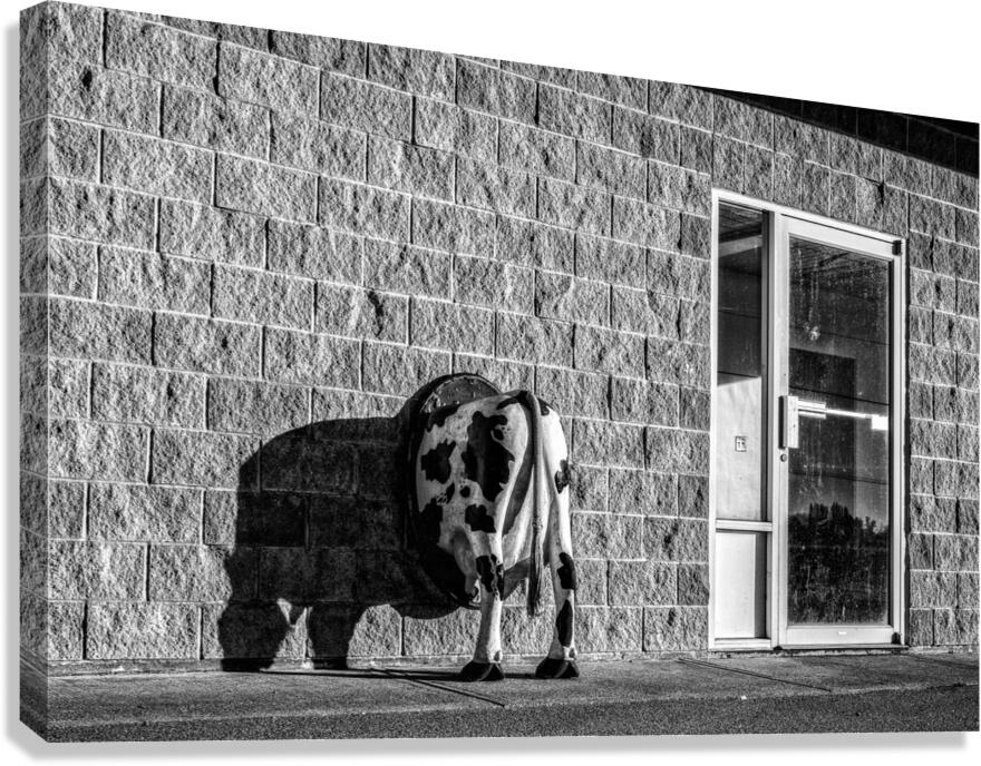 FS190113BW Canvas Print