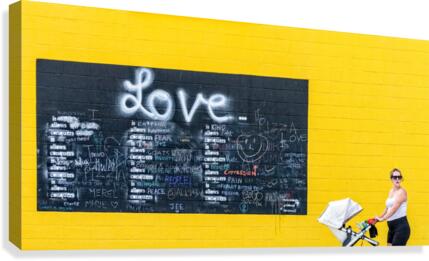 FS200803 Canvas Print