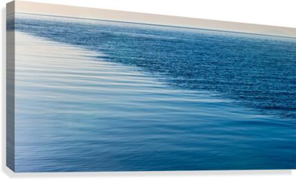 FS160420DW Canvas Print