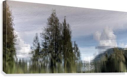 FS200822DW Canvas Print