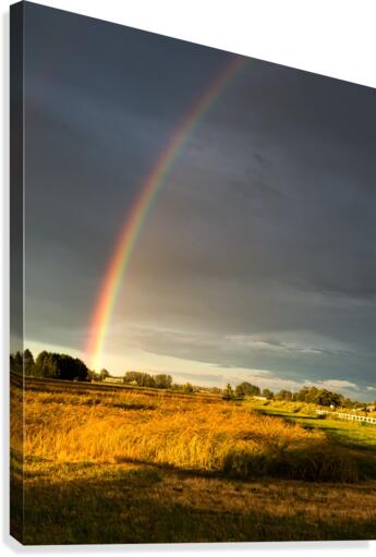 FS160617AA Canvas Print