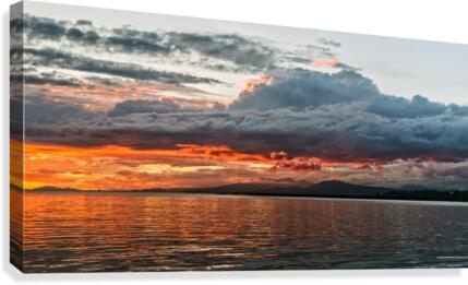 FS200821DW Canvas Print