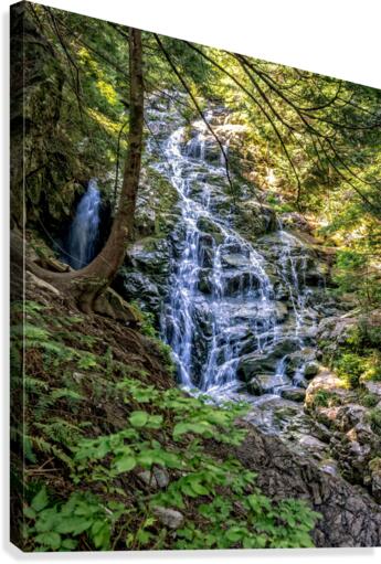 FS200829H Canvas Print