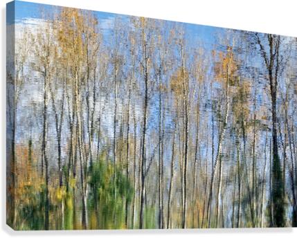 FS201107R Canvas Print