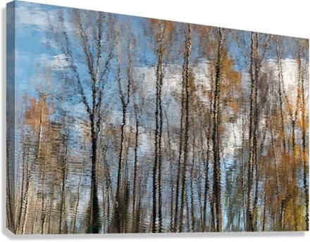 Autumn2020 Canvas Print