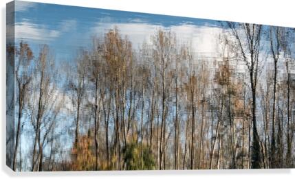 FS201107DW2 Canvas Print