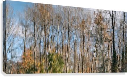 FS201107DW Canvas Print