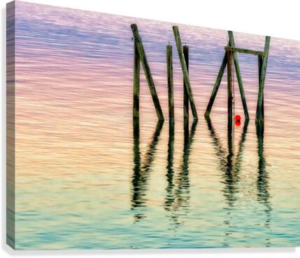 FS170730MM Canvas Print
