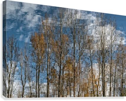 FS201107 8 Canvas Print
