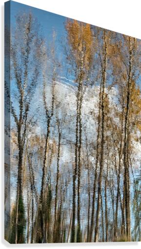 FS201107 7 Canvas Print