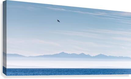 FS201101 Canvas Print