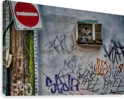 FS050623 Canvas Print