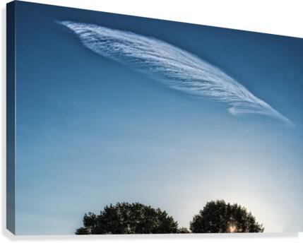 FS170727A Canvas Print
