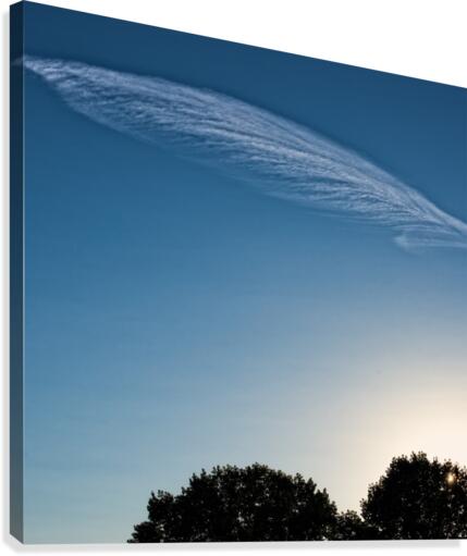 FS170727 Canvas Print