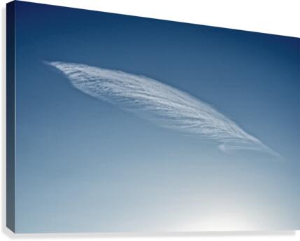FS170727 2 Canvas Print