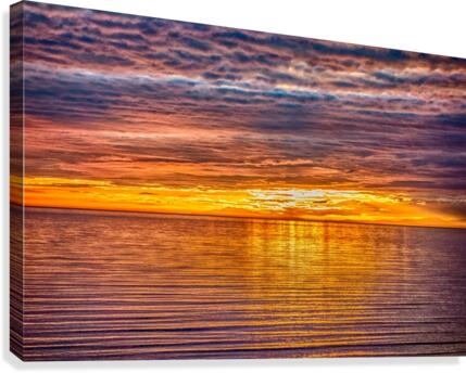 FS170722 Canvas Print