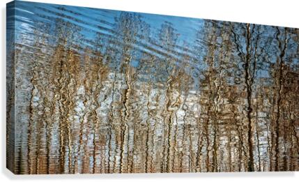 FS170310W Canvas Print