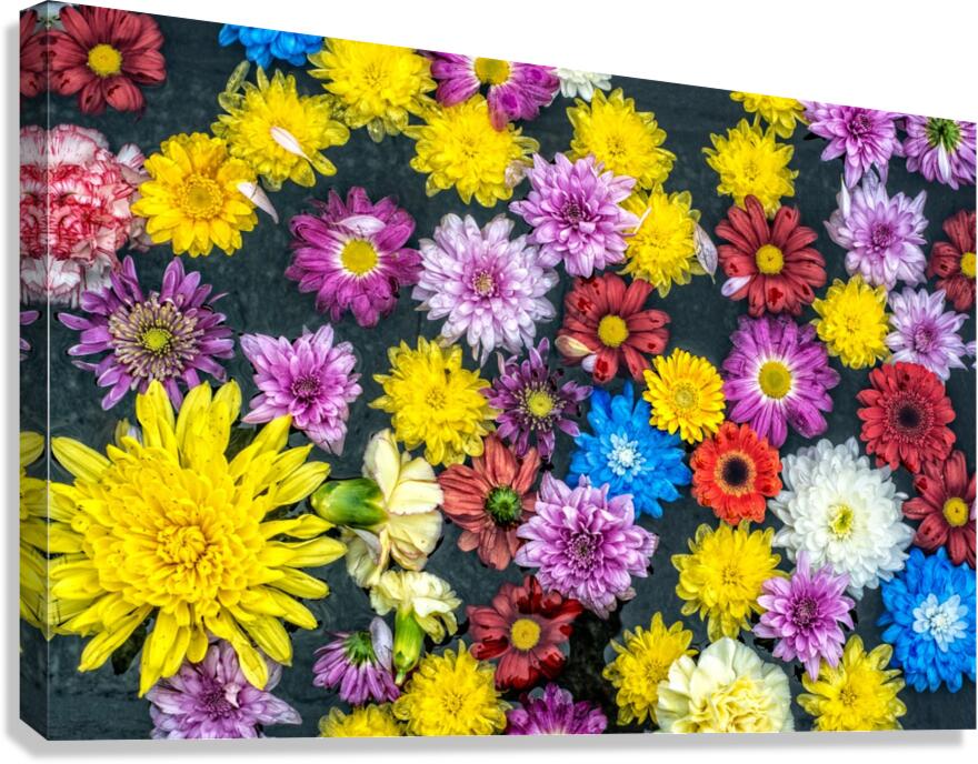FS180130A Canvas Print