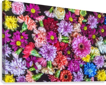 FS180130H Canvas Print