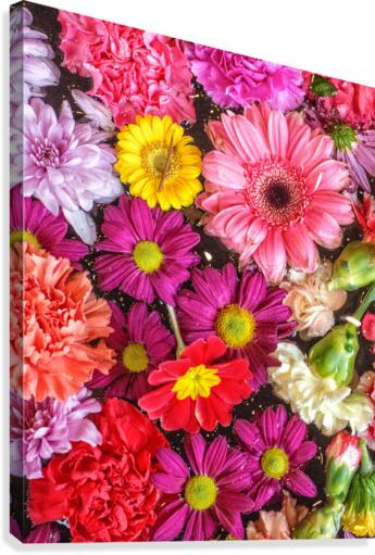 FS180130C Canvas Print