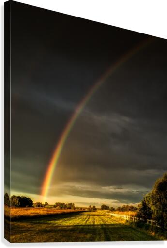 FS160617 Canvas Print