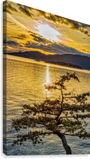 FS180417WC Canvas Print