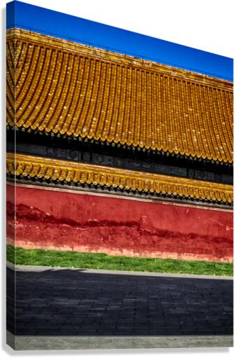 FS111113 Canvas Print