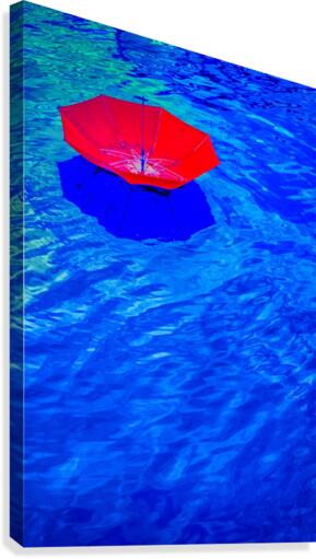 FS160621 0 Canvas Print