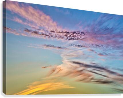 FS200625 6 Canvas Print