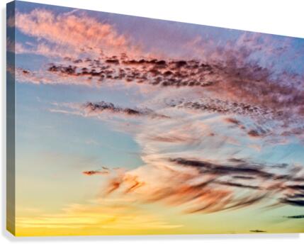 FS200625C Canvas Print