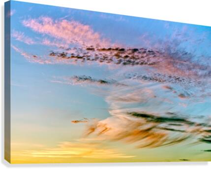FS200625F Canvas Print