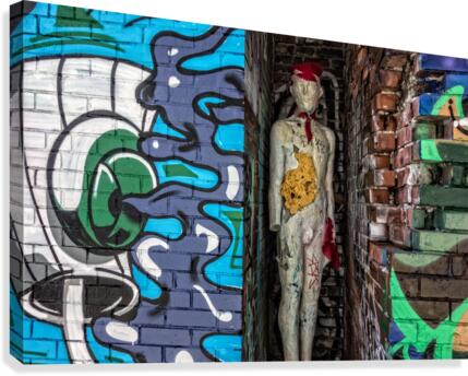FS170706H Canvas Print
