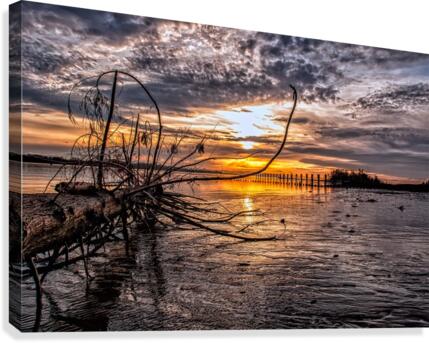 FS150326F2 Canvas Print